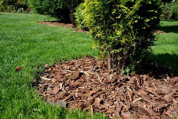 Hallstone Bark Mulch Dumpy Bag